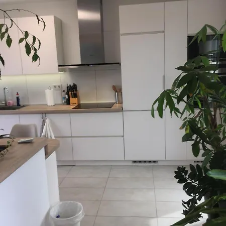 Beautiful Penthouse Apartment At Porta Nigra Apartment *